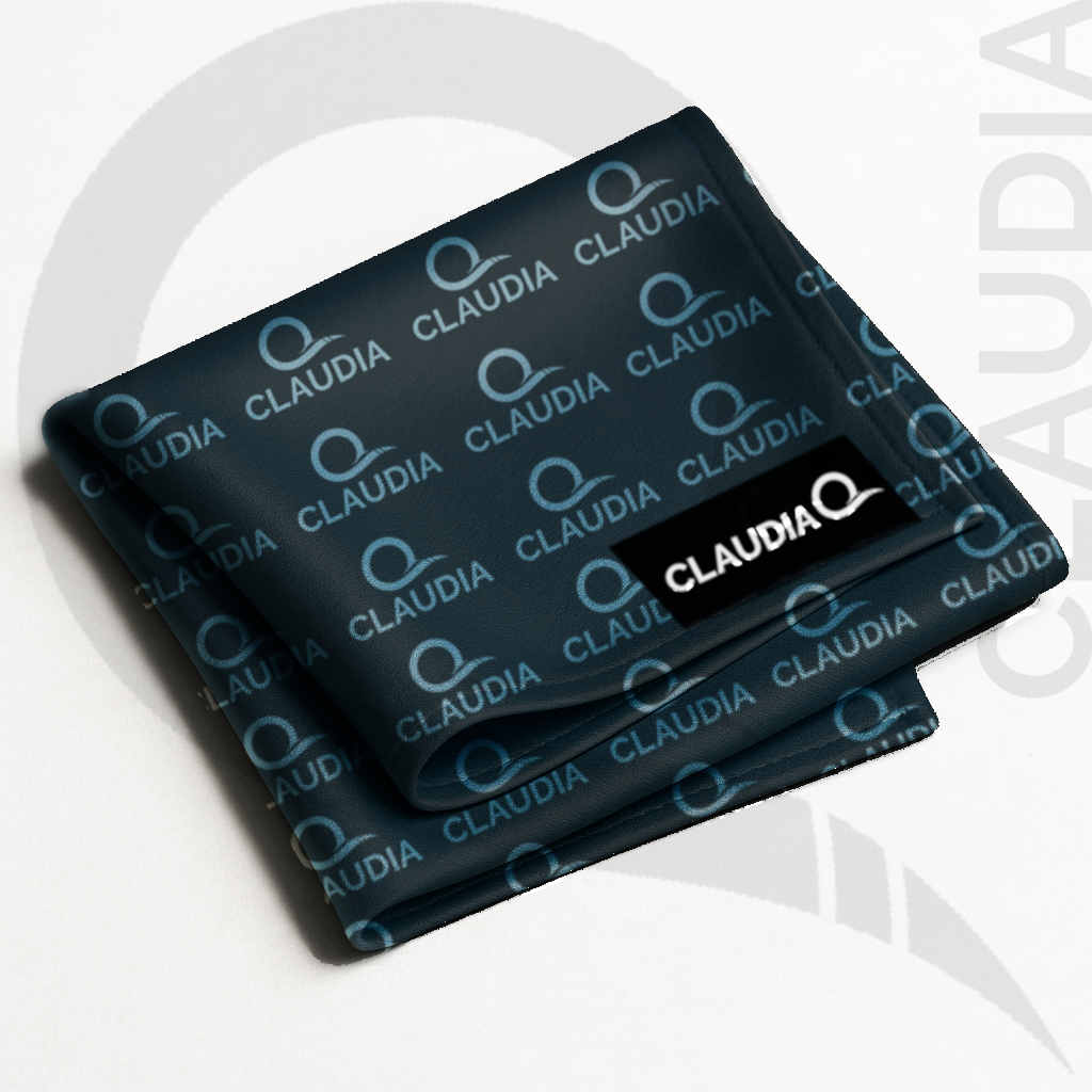 Claudia Q Silk Scarf – Claudiaq Black